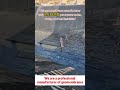 Geomembranes HDPE Liner for #construction #landfill #aquaculture
