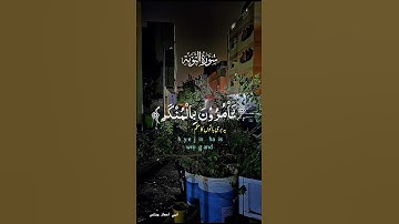 سورة التوبة القرآن الكريم راحة نفسية ♥️ ##الهم_صلي_وسلم_على_نبينا_محمد #مكةالمكرمة #القرآن_الكريم