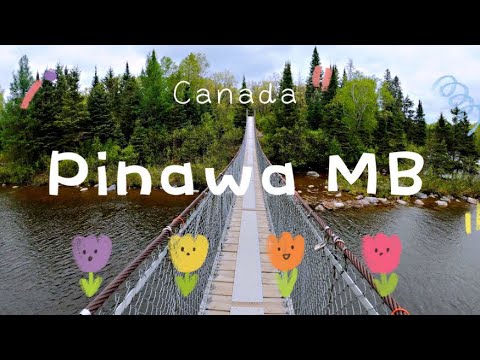 Video: Manitoba Itning Quloqlarini Kesishni Taqiqladi