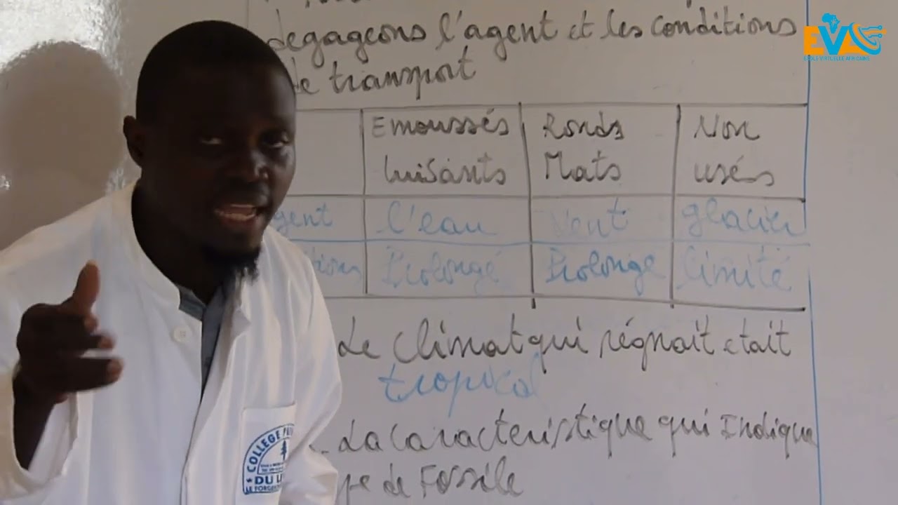 Correction epreuve zero SVT Premiere D (Partie 1)