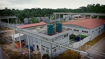 Layer Chicken Cage Design and Modern Layer Breeding Technology -Layer Farming in China