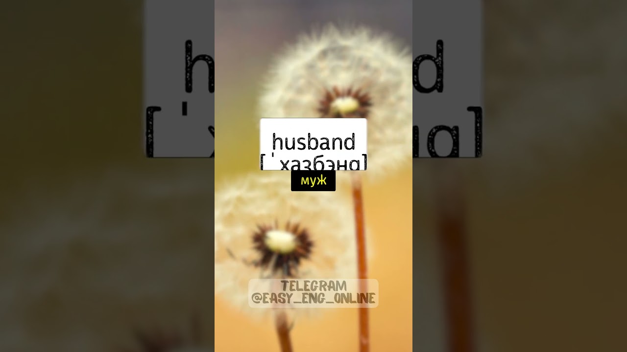 🎧🇬🇧 Переведи с Русского на Английский слова быстрее чем Я (4) ☑️ ...