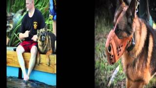A Tribute to Retired K-9 Kilo... R.I.P.