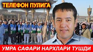 картинка: ТЕЛФОН ПУЛИГА УМРА САФАРИ 2025
