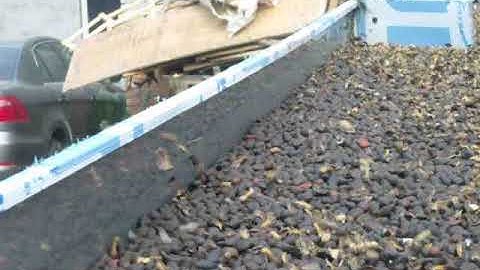 5XZ-6 gravity separator processing palm, palm kernel separator, palm separator