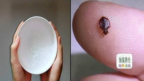 家里出现跳蚤！用这个简单的方法！跳蚤自然全部不见了！太好用了！ - 天天要闻