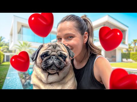 Au revoir Mustang ❤️‍🩹