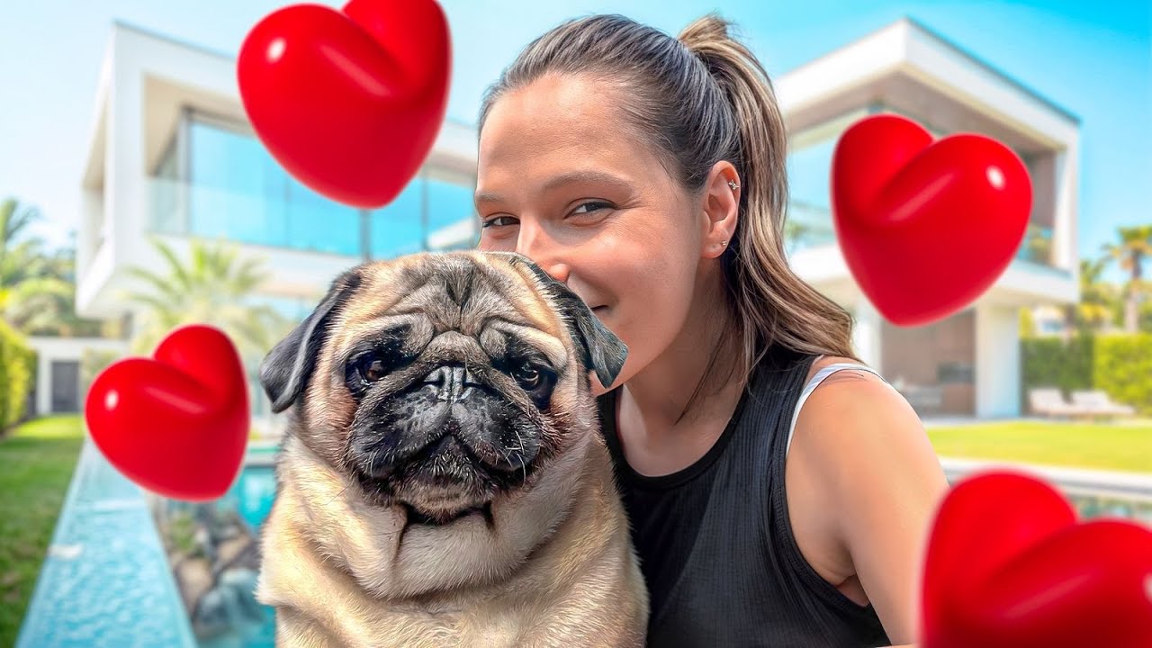 Au revoir Mustang ❤️‍🩹