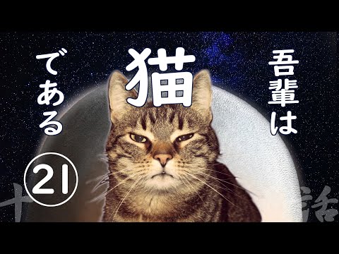 朗読】吾輩は猫である(21)／夏目漱石 - YouTube