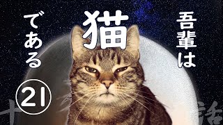【朗読】吾輩は猫である(21)／夏目漱石