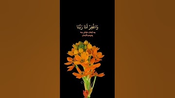 قران كريم//راحة نفسية#اللهم_صل_وسلم_على_نبينا_محمد
