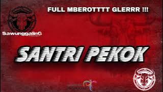 DJ SANTRI PEKOK MBEROT MODE ON || GLERR GAYENG