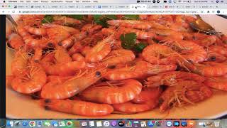 Import/Export Business step-by-step startup guide Video  4