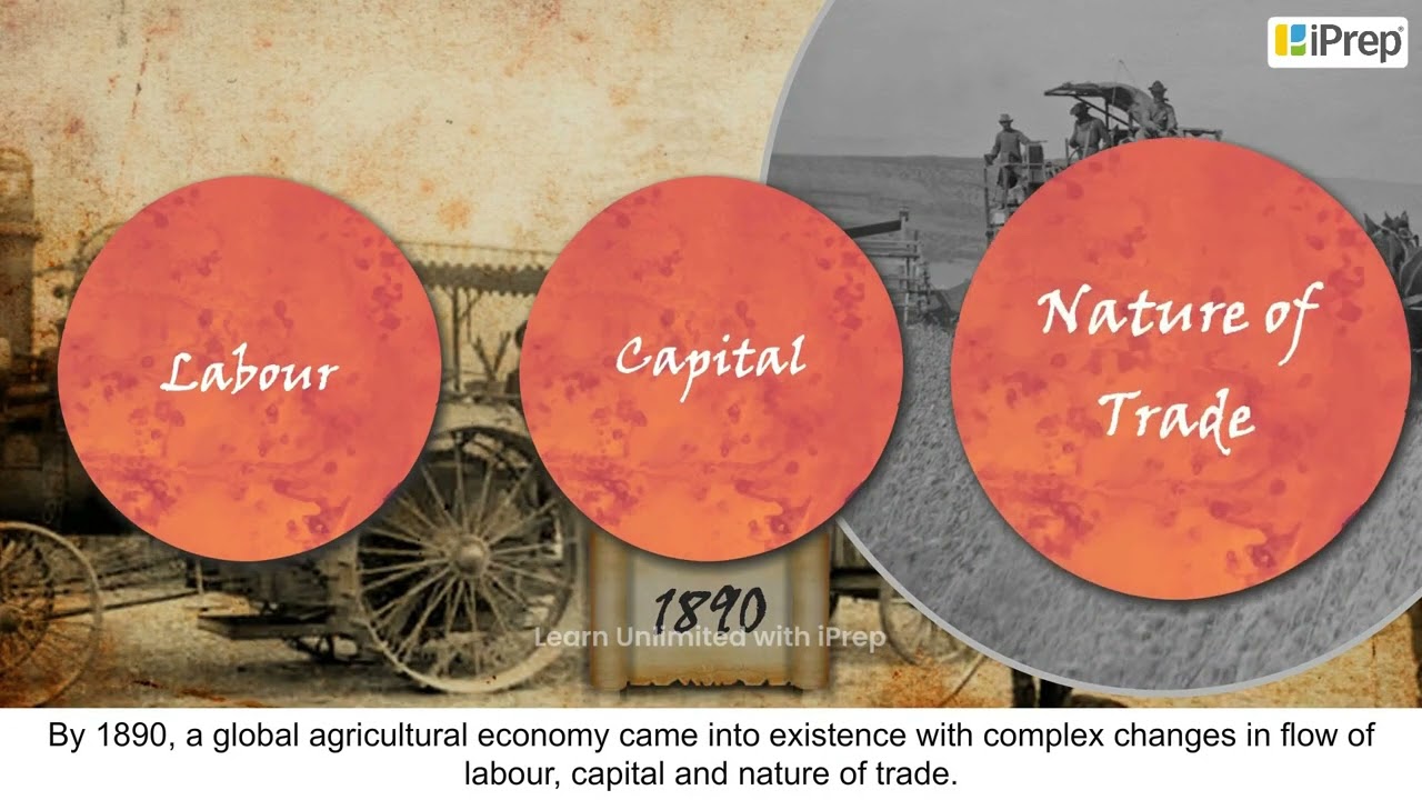 The Nineteenth Century | The Making of a Global World | History | Class 10th | iPrep