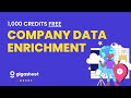 Enrich Company Data with Gigasheet - Get 1,000 Credits Free
