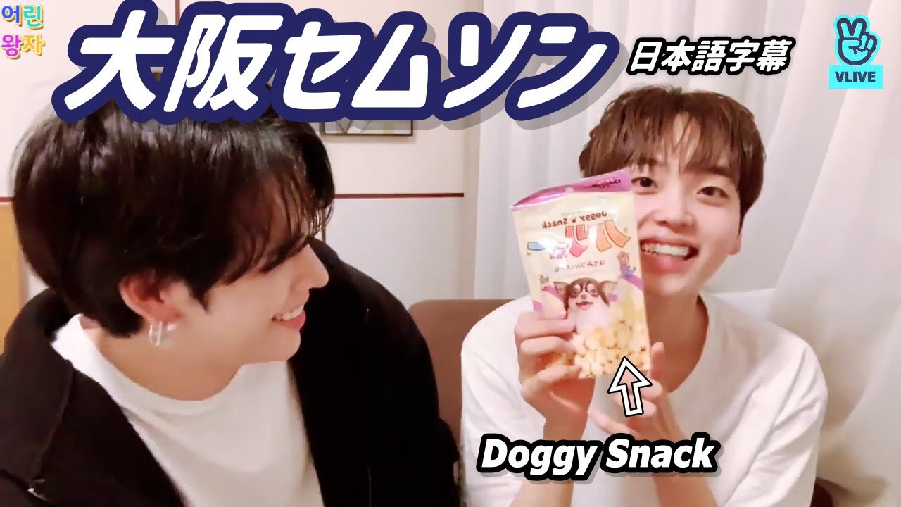 [日本語字幕][CRAVITY]20221022セリム･ヒョンジュンVLIVE　ドンキで犬のおやつを買ってきたセリム/ウビンのモノマネ/一人部屋 etc.