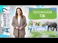 Грозненская ТЭС. О слонах, автомобилях, интернете и природном газе