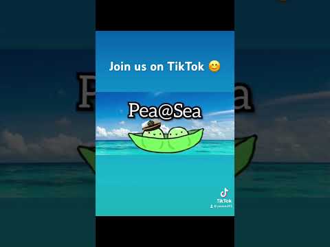 We joined tiktok y’all #pacific #adventureholiday #travel #pacificisland #adventuretravel #carnival Video Thumbnail