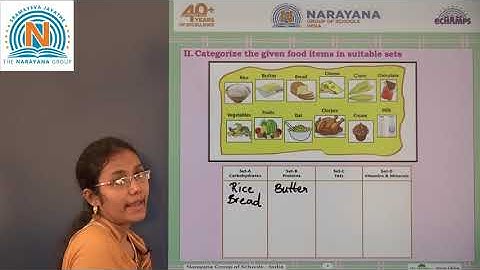 1ST OCT AP & TS CLASS V SCIENCE AMAZING ASSIGNMENT KEY