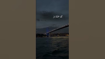 القارئ سعد الغامدي