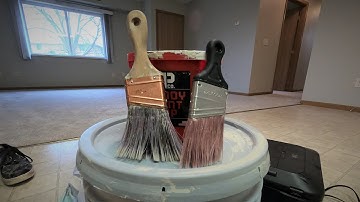 [Daily Tip] How-To Clean Your Paint Brush!