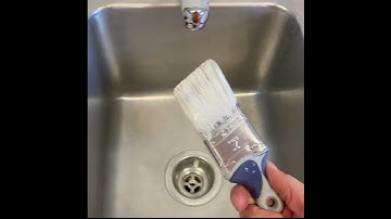 [Daily Tip] How-To Clean Your Paint Brush!