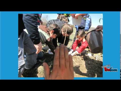 ჩემი პრეზენტაცია