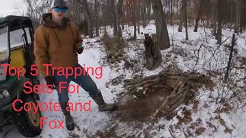 Top 5 Fox and Coyote Trapping Sets