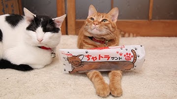 うずまきLIVE配信？　放置？　2025年10月19日