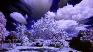 Infrared Time Lapse Clouds by Warren Photographic 10,439 views 3 years ago 41 seconds