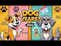 How OLD Is Your Dog In Human Years