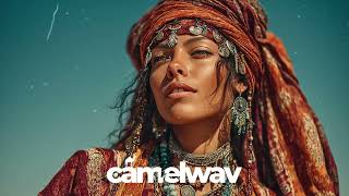 Bonama, Stavrakiz - Pharos (Billy Esteban, Rialians On Earth Remix)