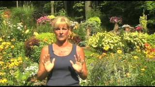 Gardening Inspirations - A Garden Tour with White Flower Farm Nursery Manager Barb Pierson