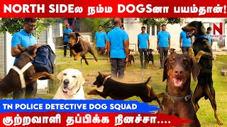 ஓ.. இவுங்கதான் அந்த Detective Dogsஆ! தீயா இருக்காங்களே..|TN Police Detective Dog Squad|Dog Training