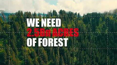 Real Leather. Stay Different. Sustainability Video