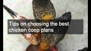 Chicken coop floor plans | How to build a chicken coop floor plans & designs | Download pdf http://chickencoopsonline.com/chicken-coop-building-plans for Chicken coop floor plans. How to build a chicken coop floor plans &