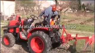 Aratura Kubota 2012