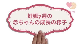 妊娠7週目 Youtube