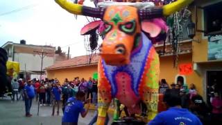 Desfile de toros Pirotecnicos