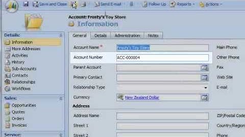 Microsoft Dynamics CRM Customizable Auto Numbering Tool