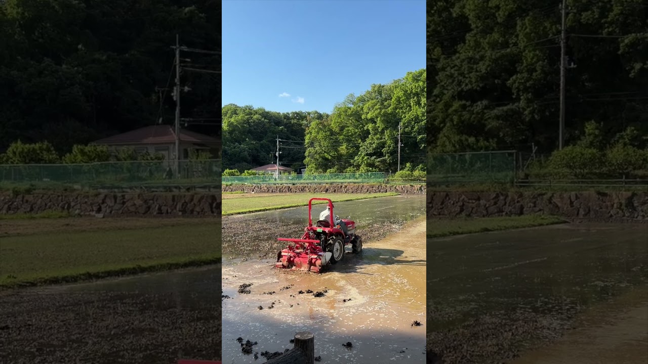 जापानको कृषी😍#JapanVillage #RicePlanting #DuluwaTV