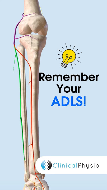 Memory Aid for nerves of lower limb:  ADLS