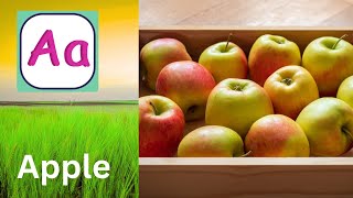ABC Phonics Song | Alphabet letter sounds | ABC learning for toddlers | Education ABC Nursery Rhymes