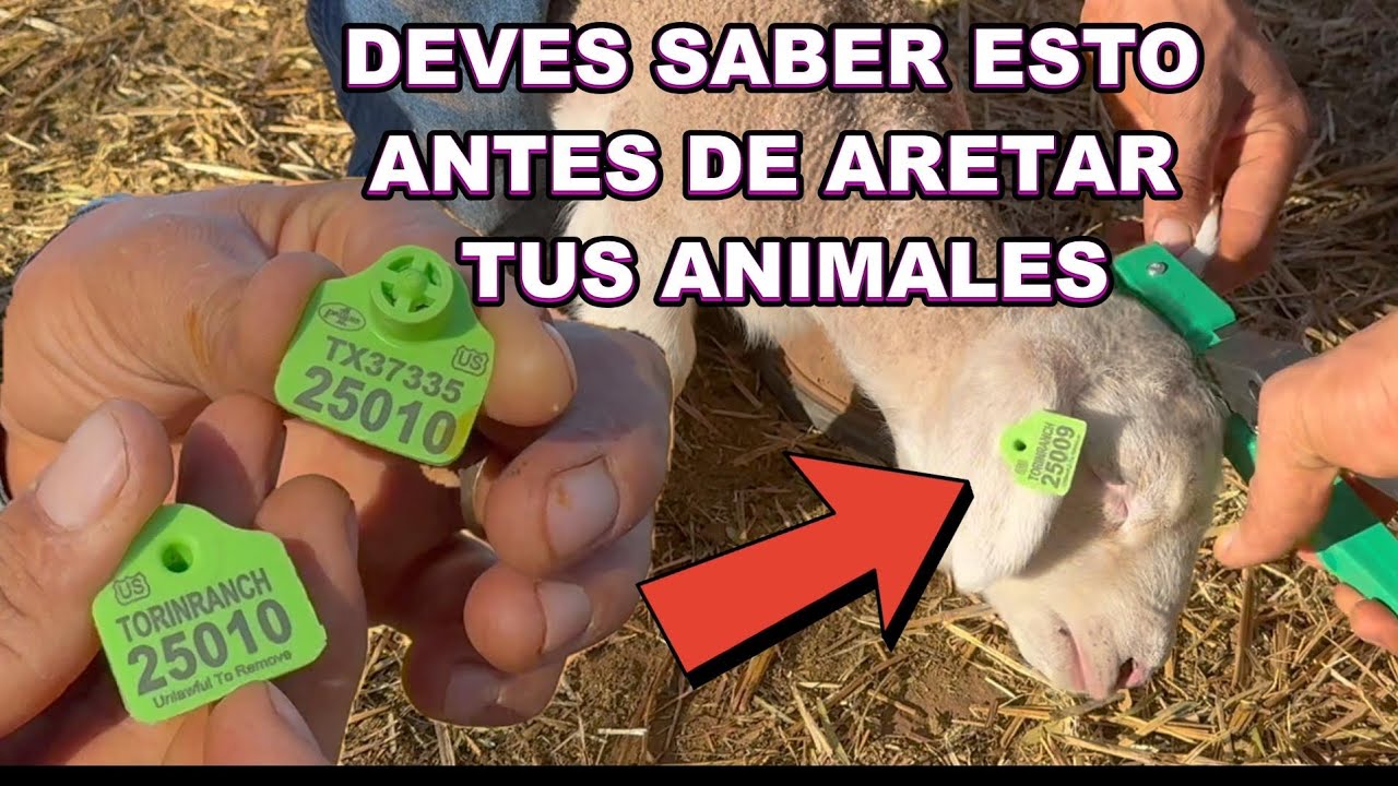 QUE SIGNIFICAN Y PARA QUE SIRVEN LOS AERETES?? Como hacerlo ...