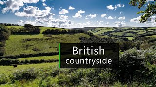 British countryside on an Autumn morning - Nature sounds