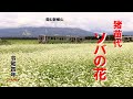 ソバの花 2022   福島県猪苗代町