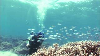 Google Voice Search Experiments Underwater Teaser