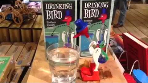 Lyman Orton and The Drinking Bird