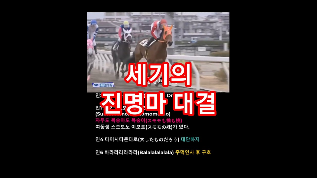1/7 일본 우라와 경마장 세기의 진명마 꿈의 대결! Sumomomomomomomomo 2착, Balalalalalala 4착