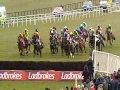 Liberty counsel  2013 ladbrokes irish grand national